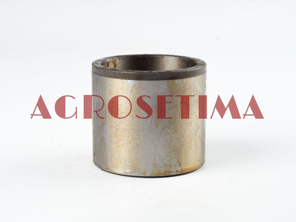 Bucsa punte Case D149725